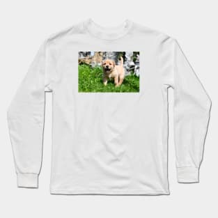 Labrador Puppies II / Swiss Artwork Photography Long Sleeve T-Shirt